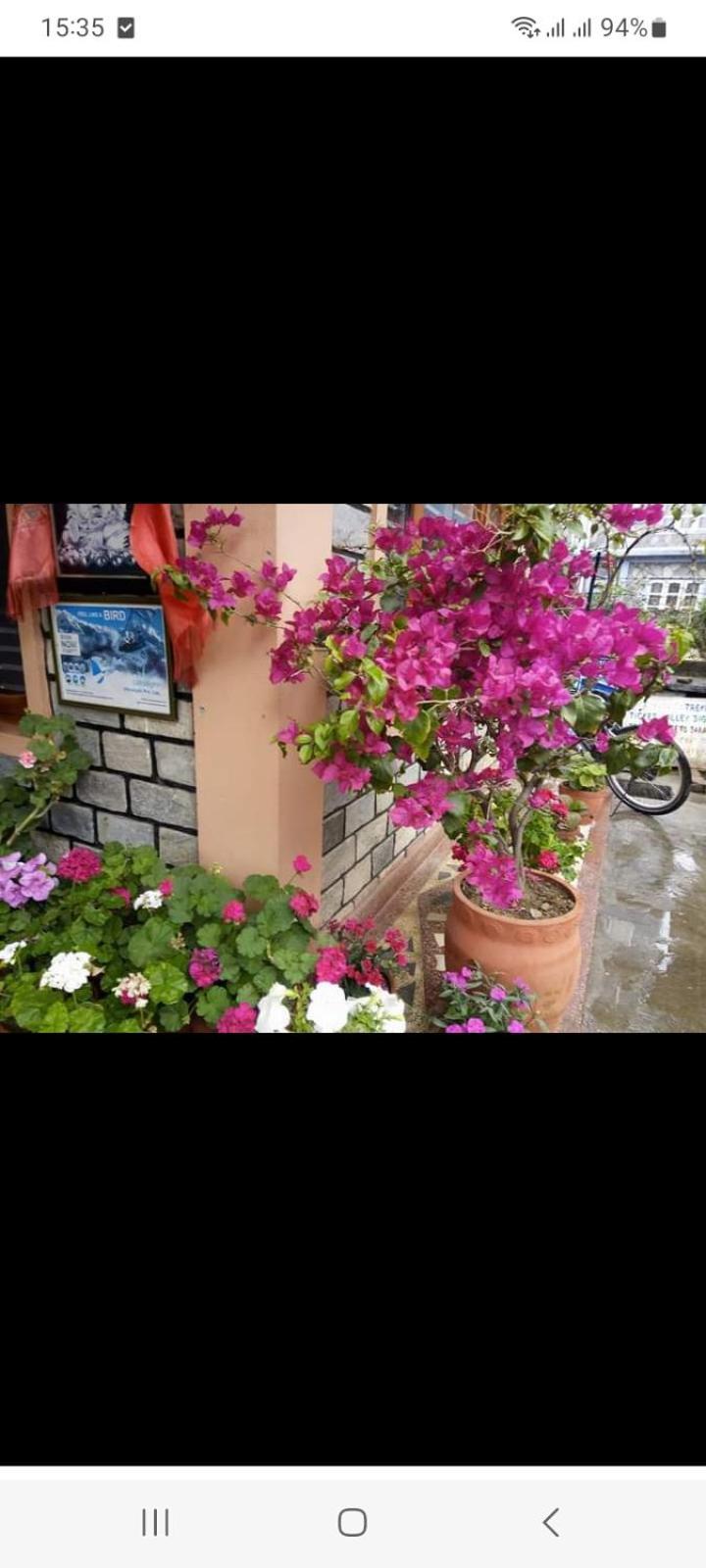 Galaxy Inn Guest House 포카라 외부 사진